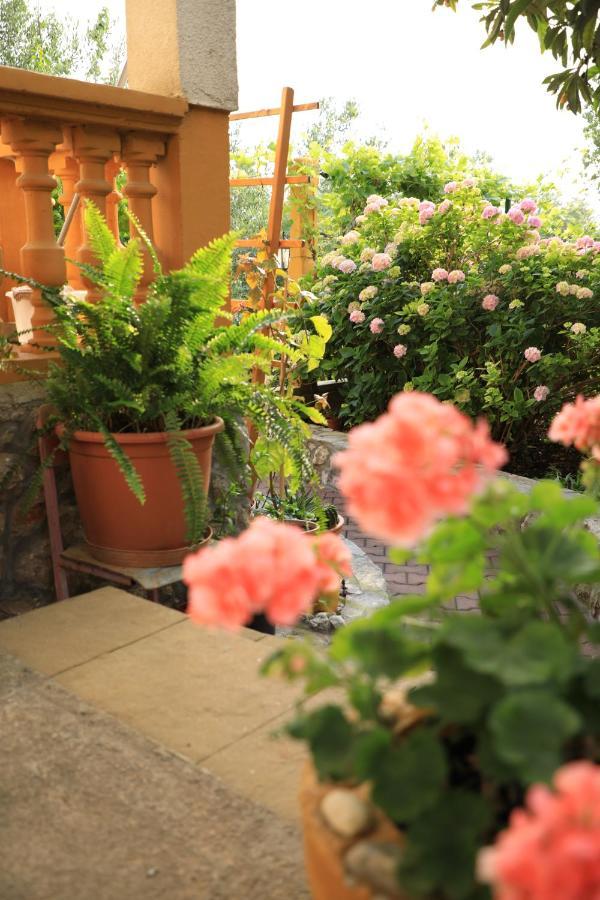 Apartmani Sarlija Pakoštane Extérieur photo